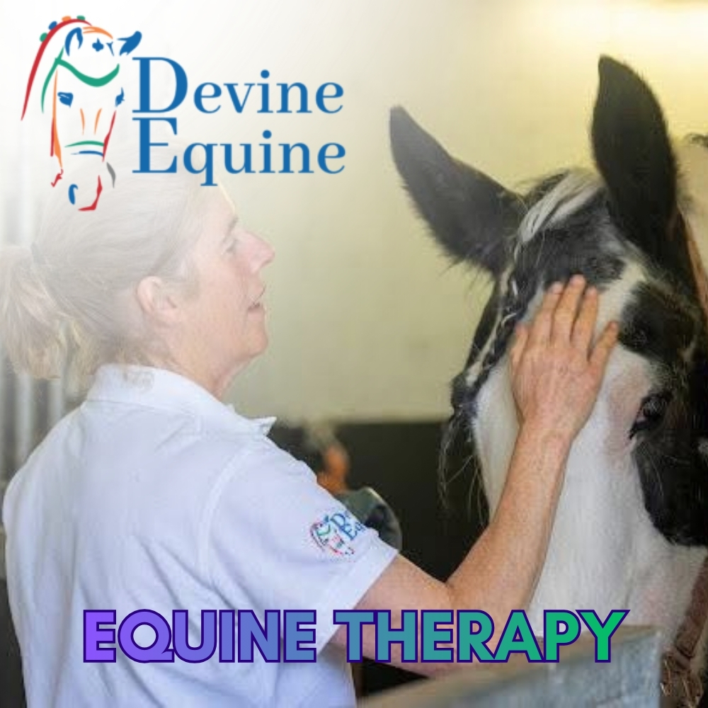 Devine Equine